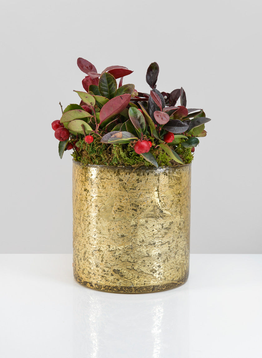 5in Tall Gold Glass Vase Decor Jamali-garden