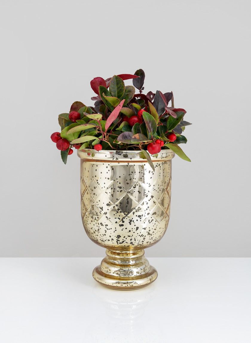 7in Tall Etched Gold Glass Hurricane Decor Jamali-garden