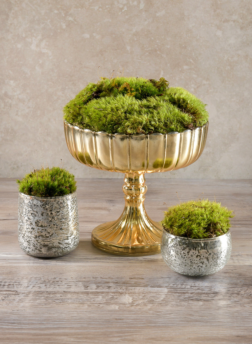 8in Tall Mumtaz Gold Dish Glass Urn Decor Jamali-garden