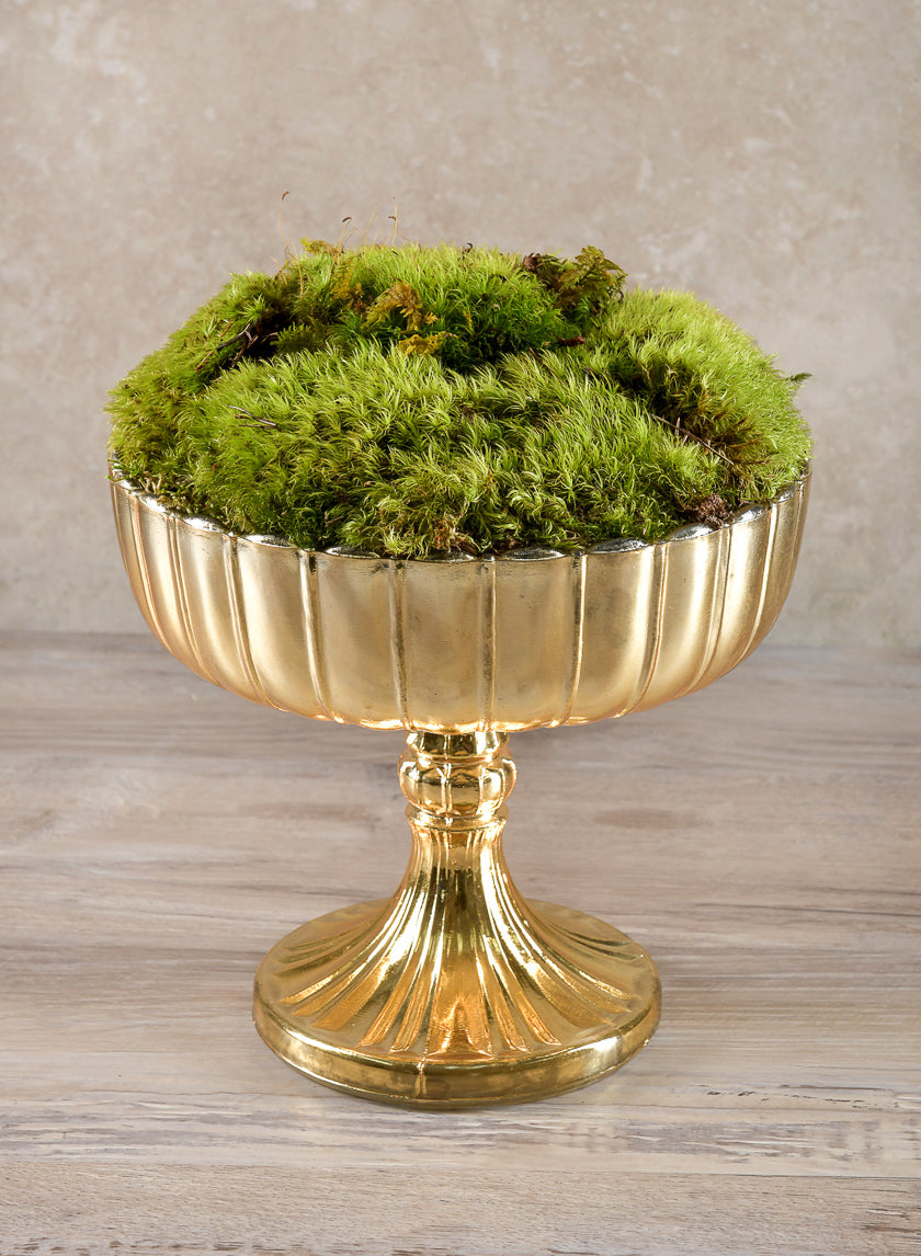 Super Moss Preserved Sheet Moss Decor Jamali-garden