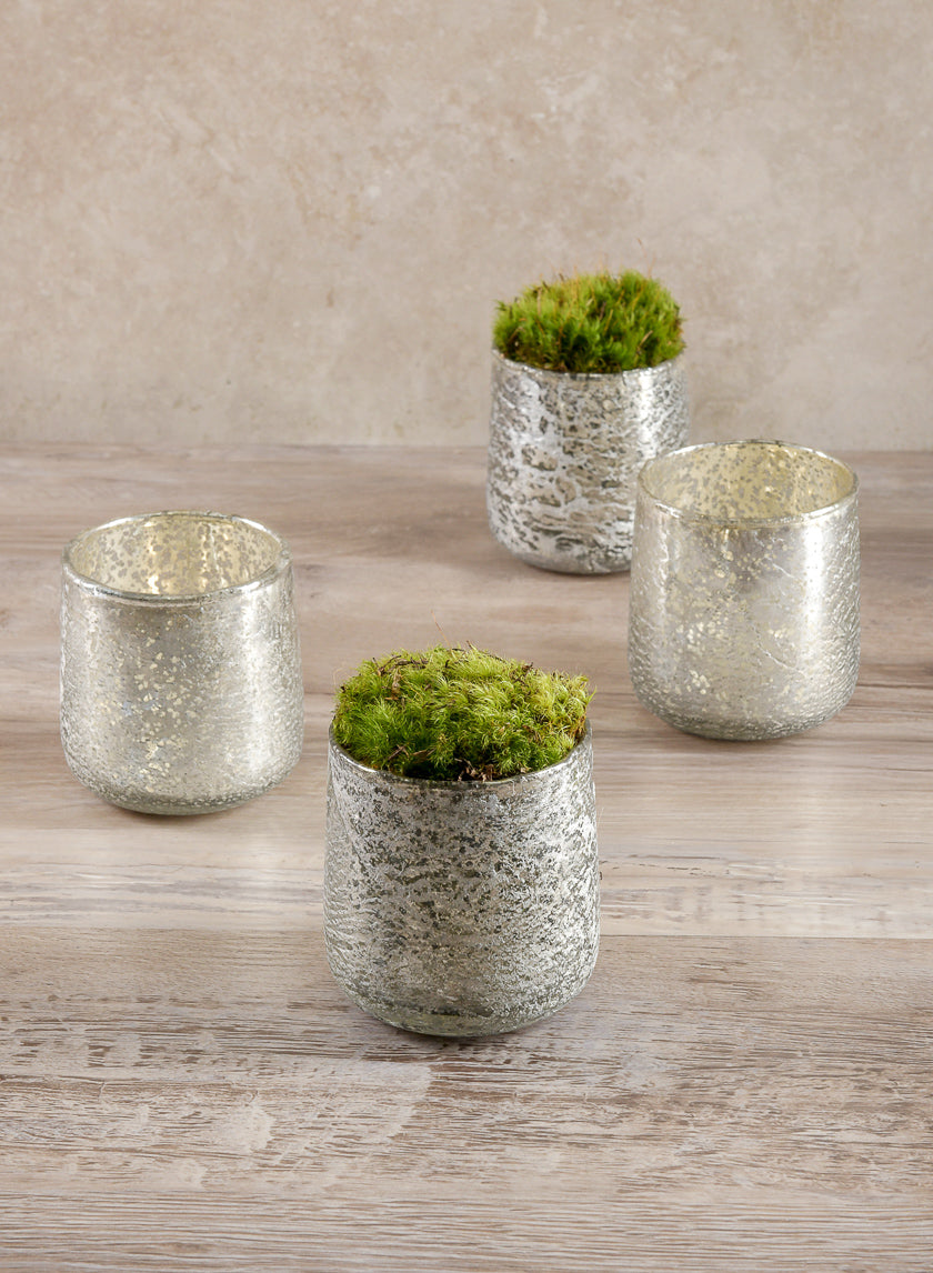 Super Moss Preserved Sheet Moss Decor Jamali-garden