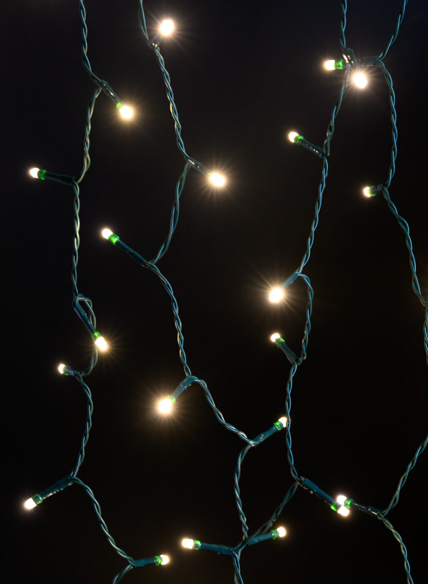 12ft Long 50 Light LED Warm White Battery Operated White Ferry Light, Green Cord Decor Jamali-garden