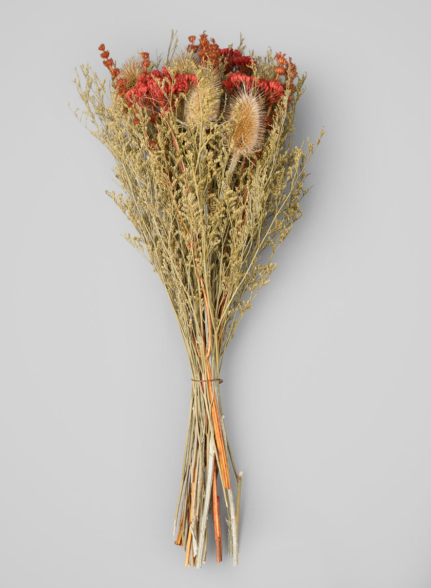 20in Long Mixed Dried Flower Bouquet Decor Jamali-garden