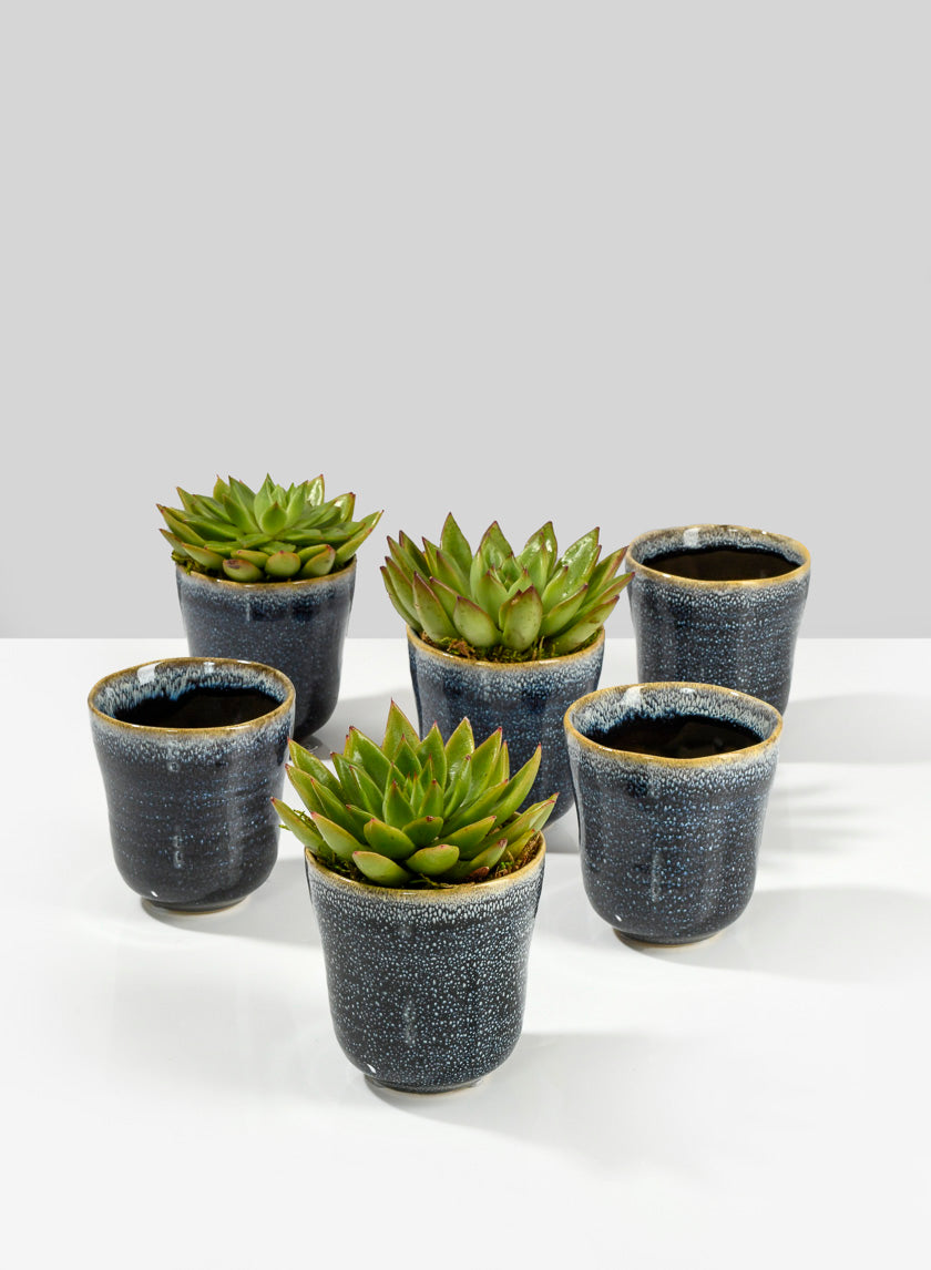 3.5in Tall Blue Ceramic Ripple Pot Decor Jamali-garden