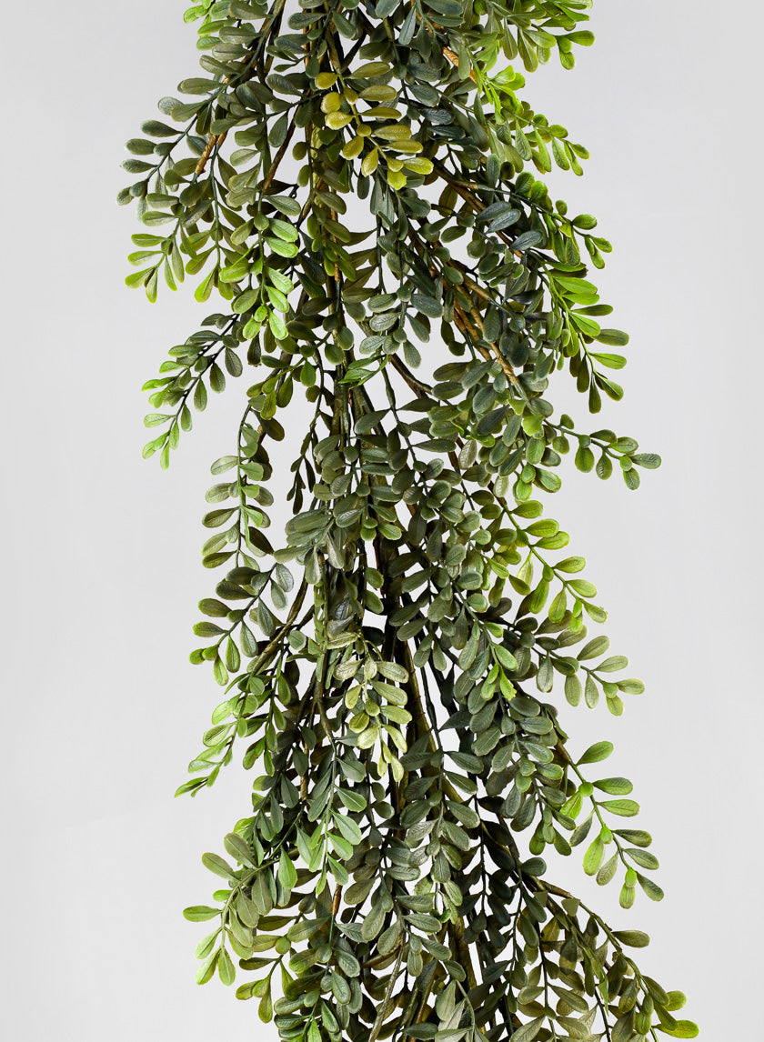 6ft Long Boxwood Leaf Garland Decor Jamali-garden