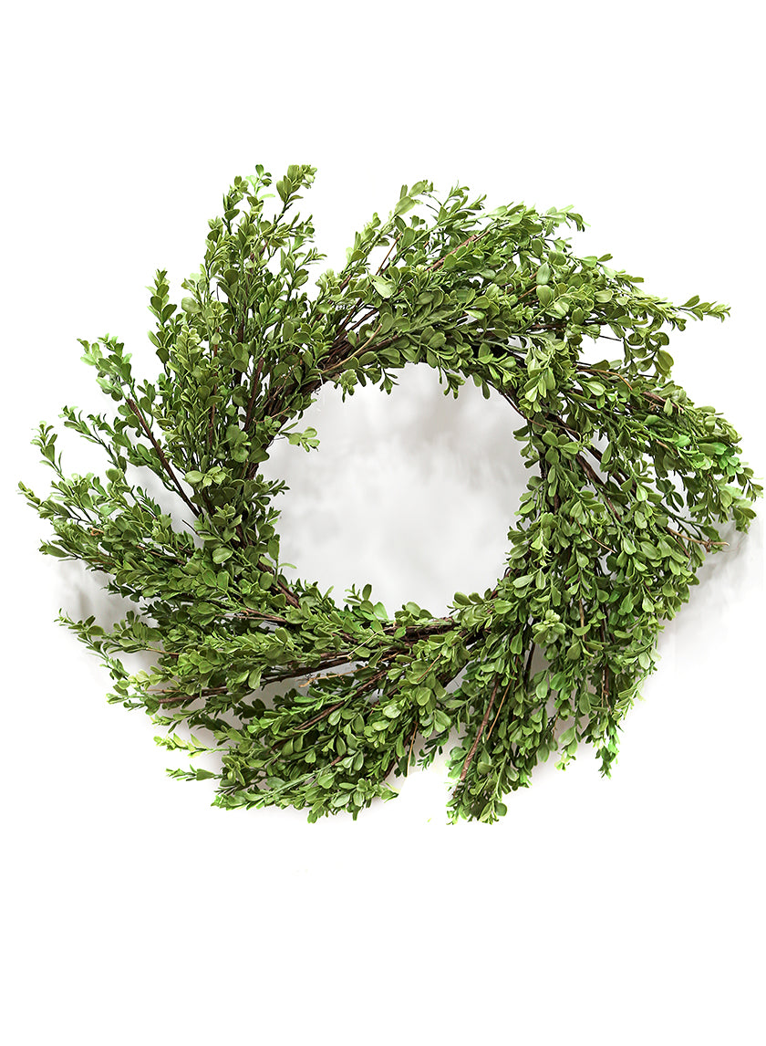 32in Wide Boxwood Wreath Decor Jamali-garden
