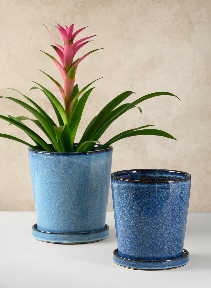 Ming Ceramic Pot with Saucer, Ice Blue Decor Jamali-garden