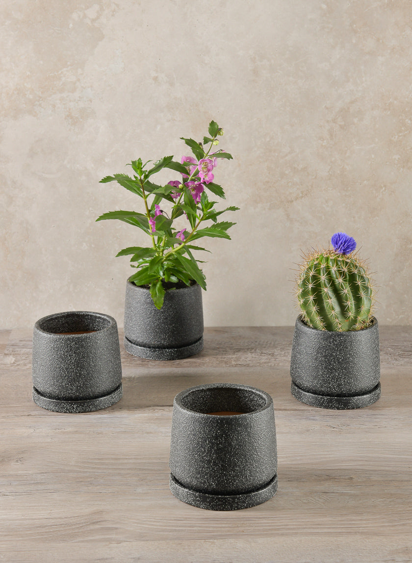 4in Tall Sigtura Sand Black Indoor Ceramic Pot with Saucer Decor Jamali-garden