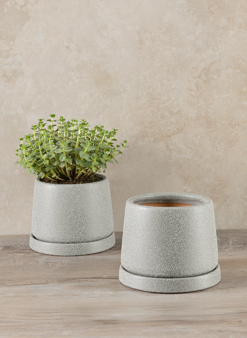 4.5in Tall Sigtura Sand Grey Indoor Ceramic Pot with Saucer Decor Jamali-garden
