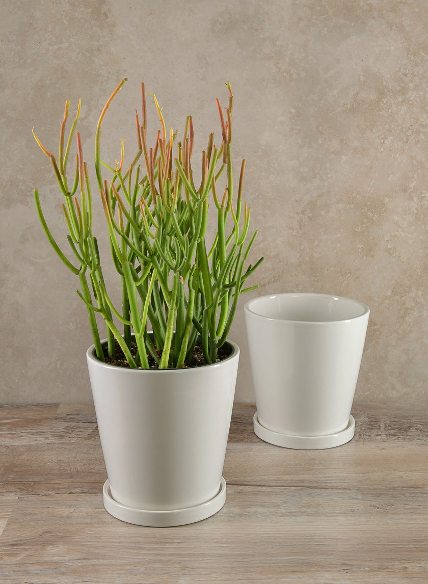 7in Tall Rouen White Ceramic Pot with Saucer Decor Jamali-garden
