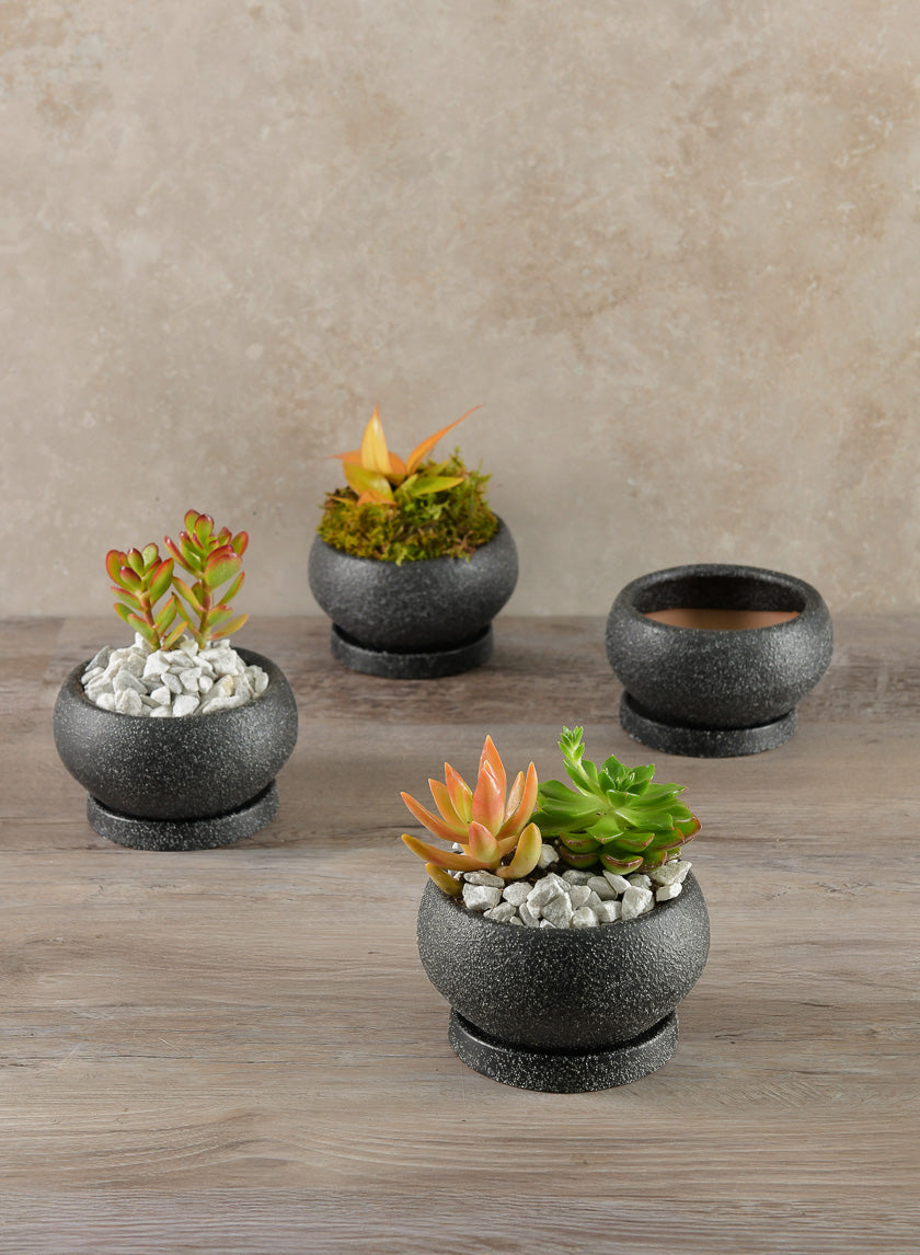 4.5in Wide Vasteras Sand Black Low Pot with Saucer Decor Jamali-garden