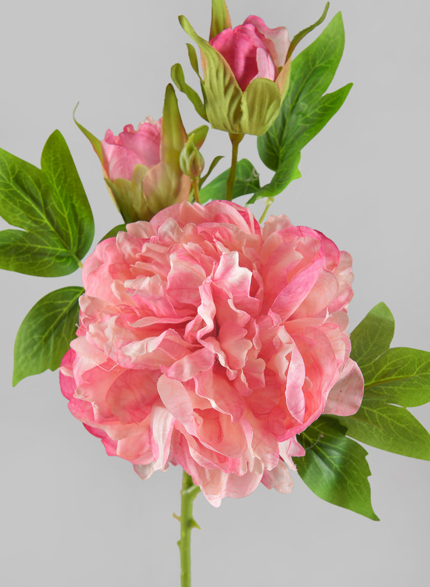 22in Long Spring Blooming with Buds Pink Peony Stem Decor Jamali-garden