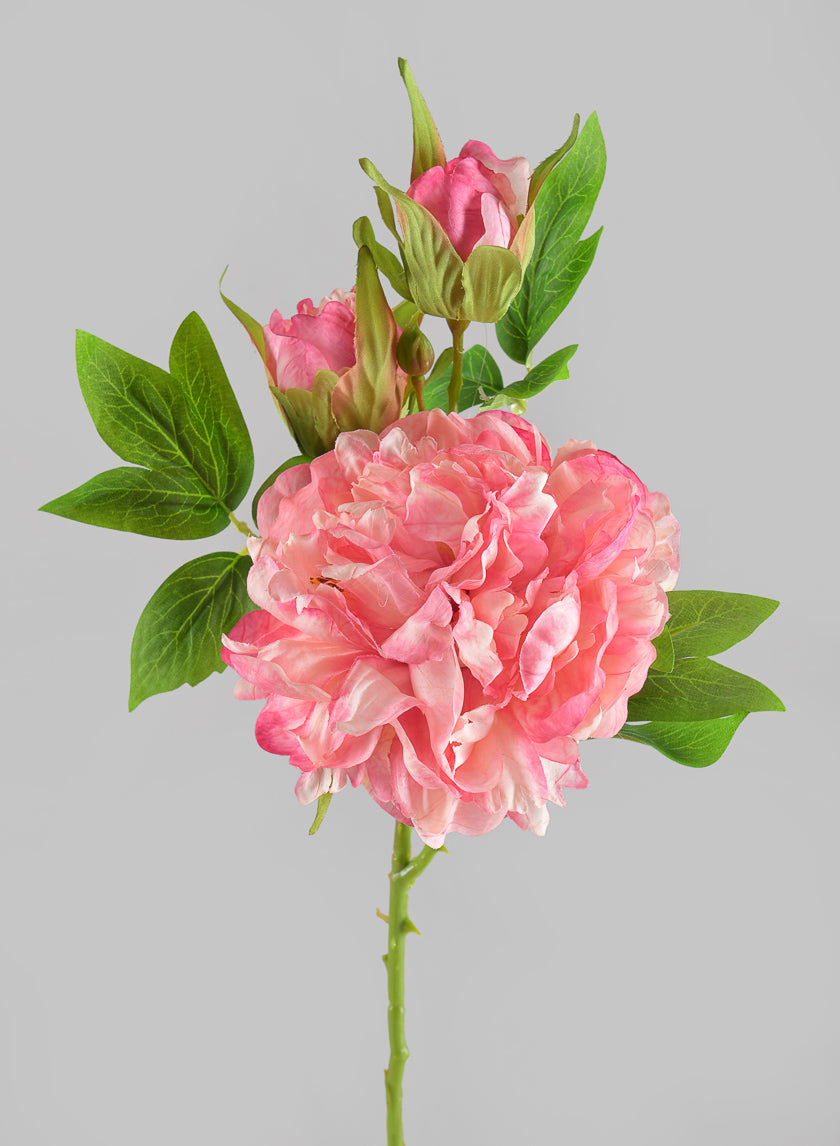 22in Long Spring Blooming with Buds Pink Peony Stem Decor Jamali-garden