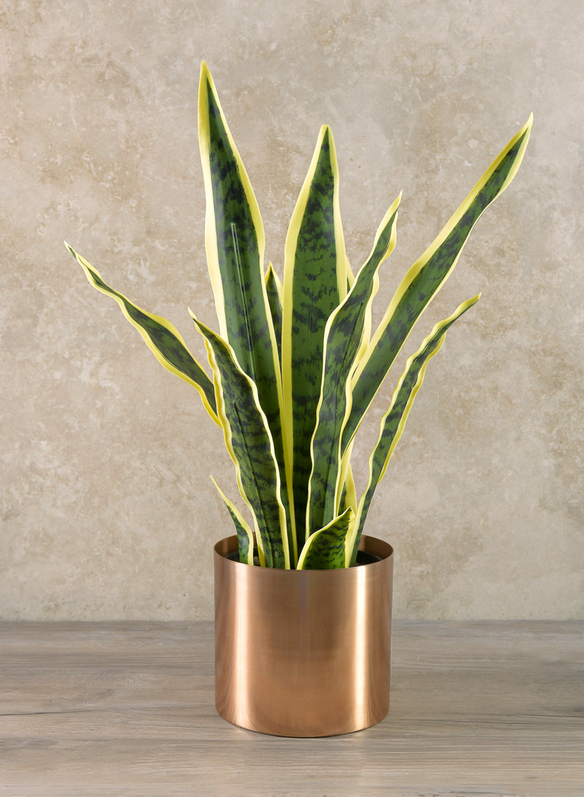 20in Tall Potted Real Touch Sansevieria Decor Jamali-garden