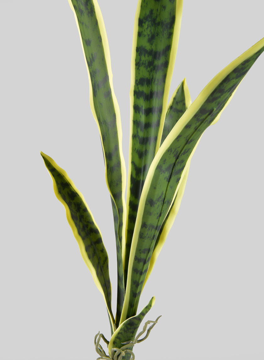 30in Long Real Touch Sansevieria Stem Pick Decor Jamali-garden