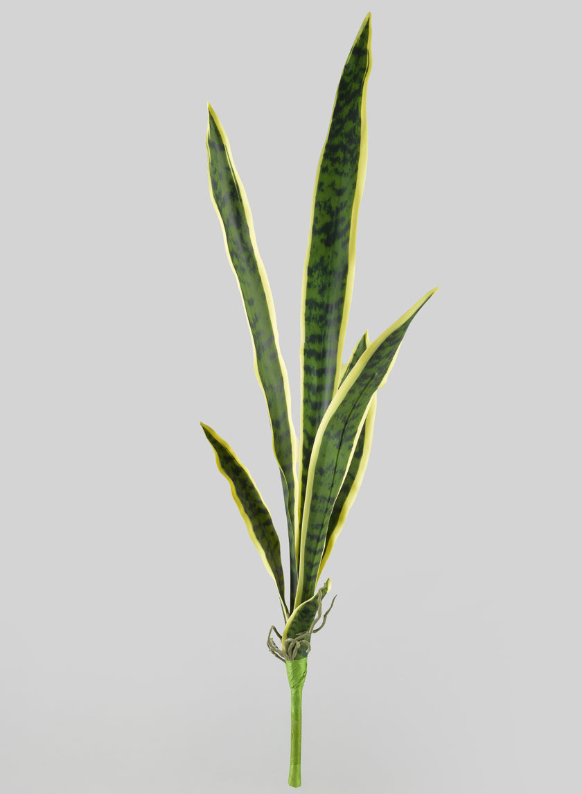 30in Long Real Touch Sansevieria Stem Pick Decor Jamali-garden