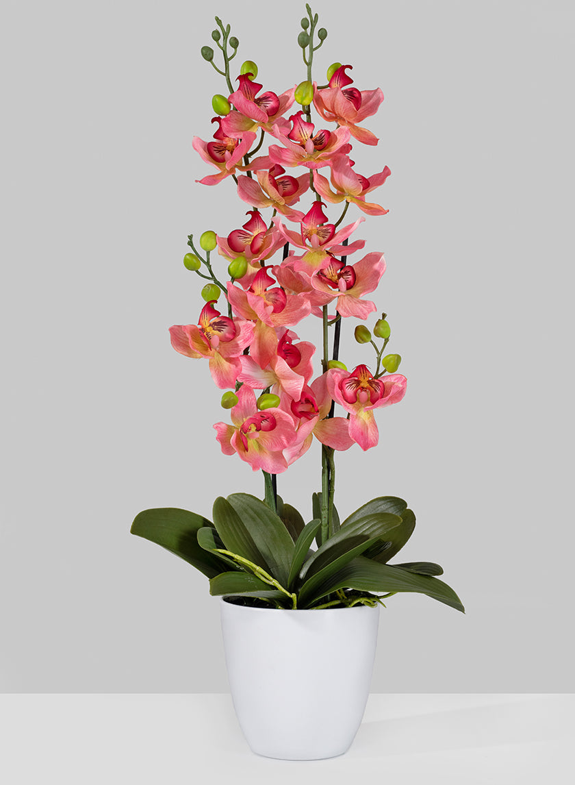 26in Tall Pink Orchid In Pot Decor Jamali-garden