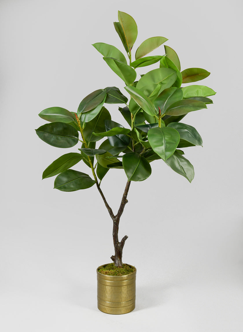 5ft Tall Potted Real Touch Rubber Tree Decor Jamali-garden