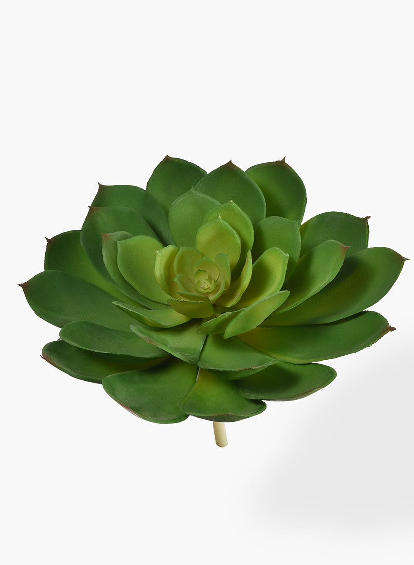 10in Long Green Echeveria Succulent Decor Jamali-garden