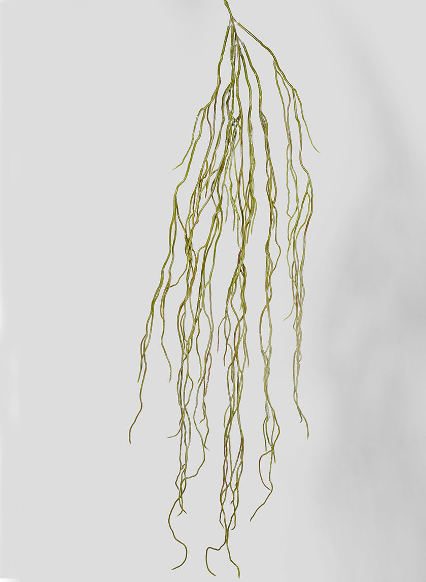 39in Long Green Aerial Root Decor Jamali-garden