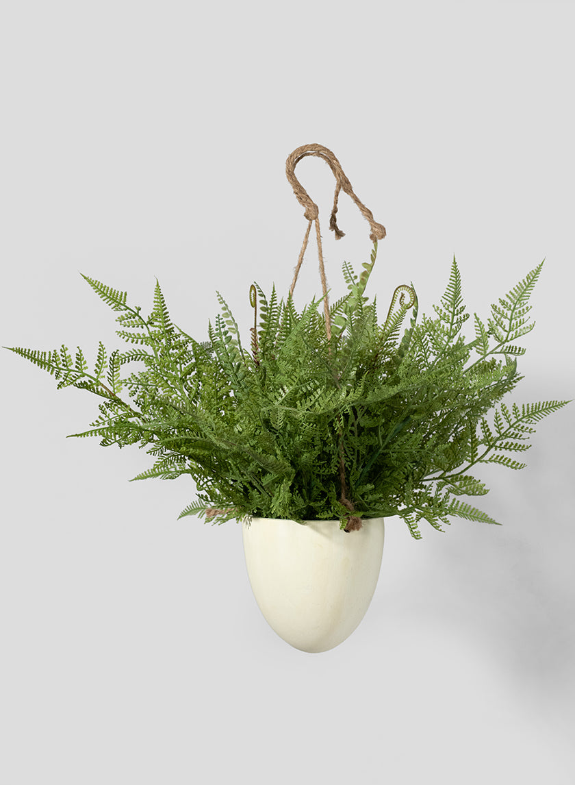 12in Tall Large Boston Fern in Hanging Pot Decor Jamali-garden