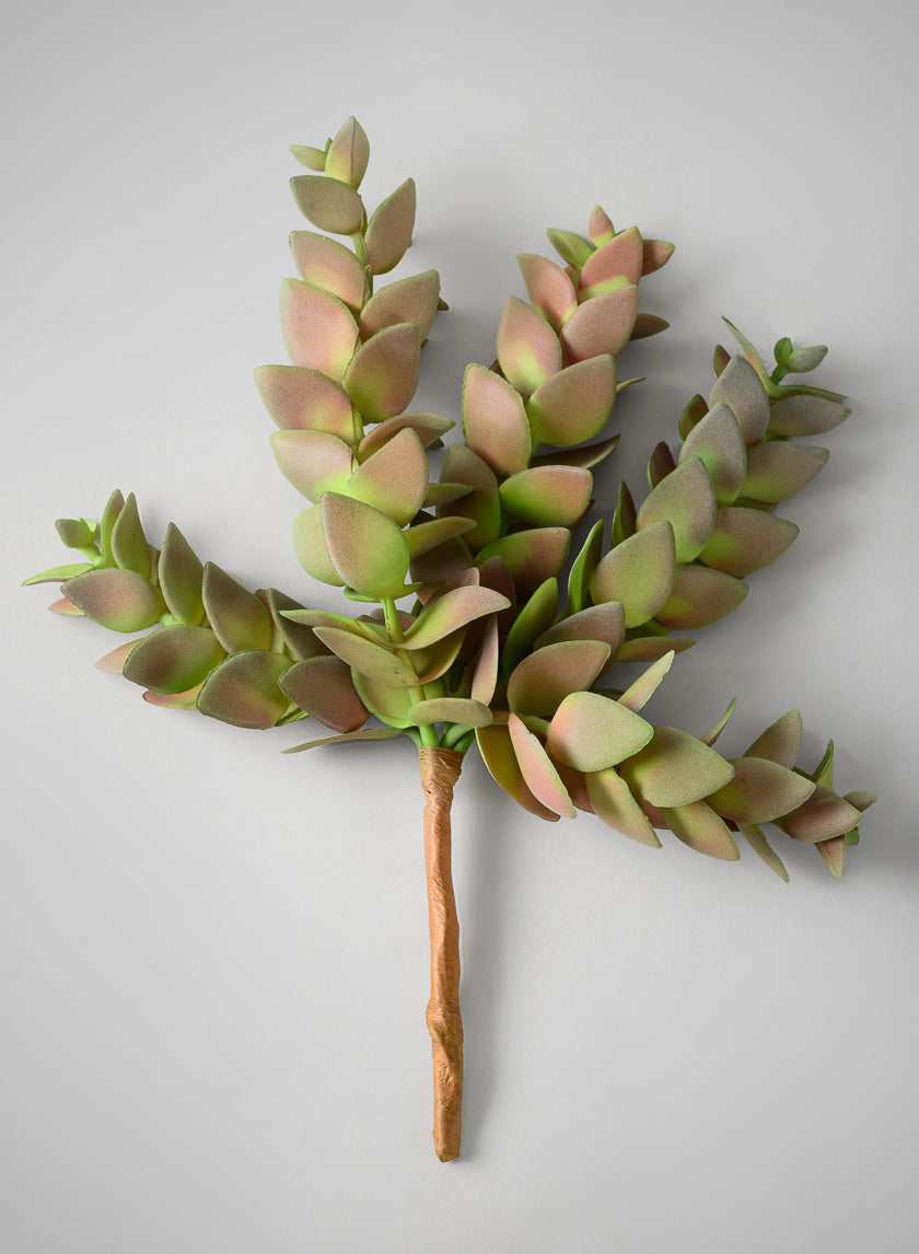 10in Long Trailing Succulent Pick, Case of 12 Decor Jamali-garden