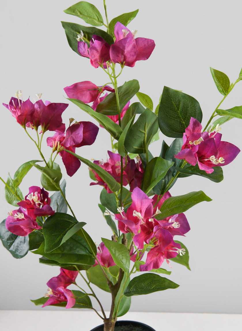 26in Long Blooming Red Bougainvillea In a Pot Decor Jamali-garden