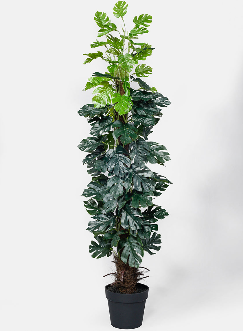55in Tall Monstera Plant Decor Jamali-garden