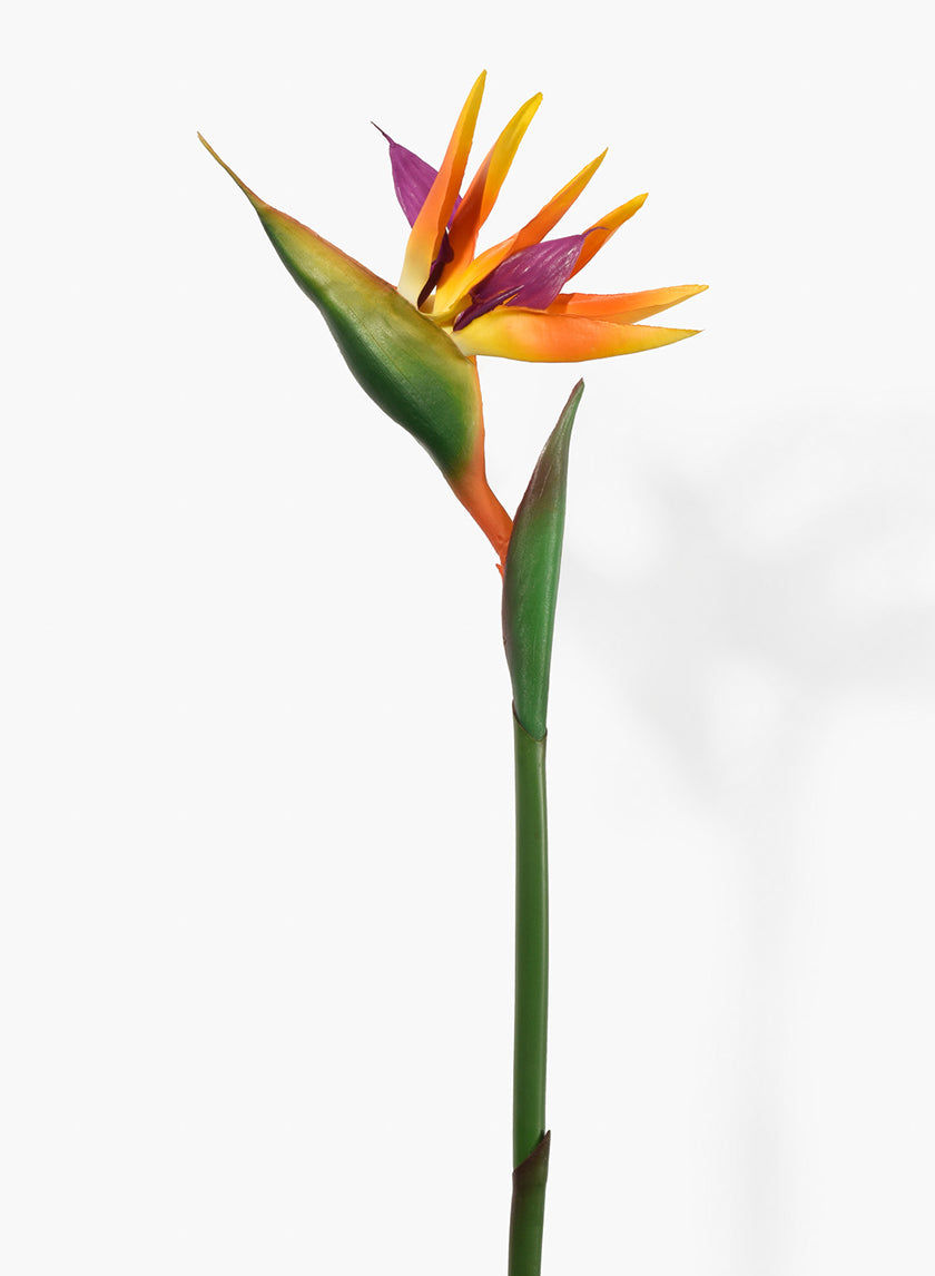 37in Long Orange Bird Of Paradise Decor Jamali-garden