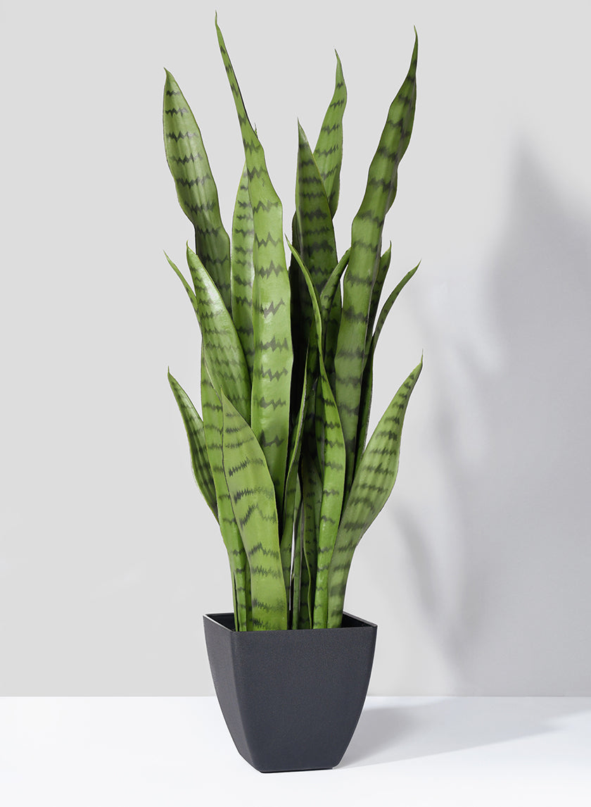 28in Tall Sansevieria Trifasciata Snake Plant Decor Jamali-garden