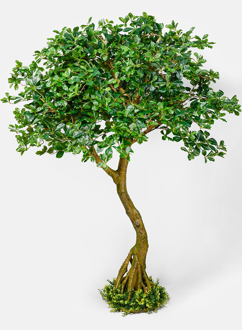 75in Tall Schefflera Umbrella Tree Plant Decor Jamali-garden