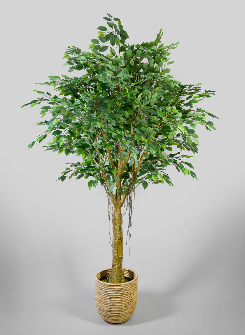 7.5ft Tall Real Touch Giant Ficus Tree Decor Jamali-garden
