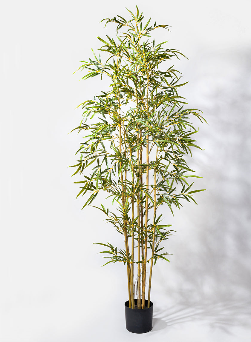 6ft Tall Pot Bamboo Tree Decor Jamali-garden