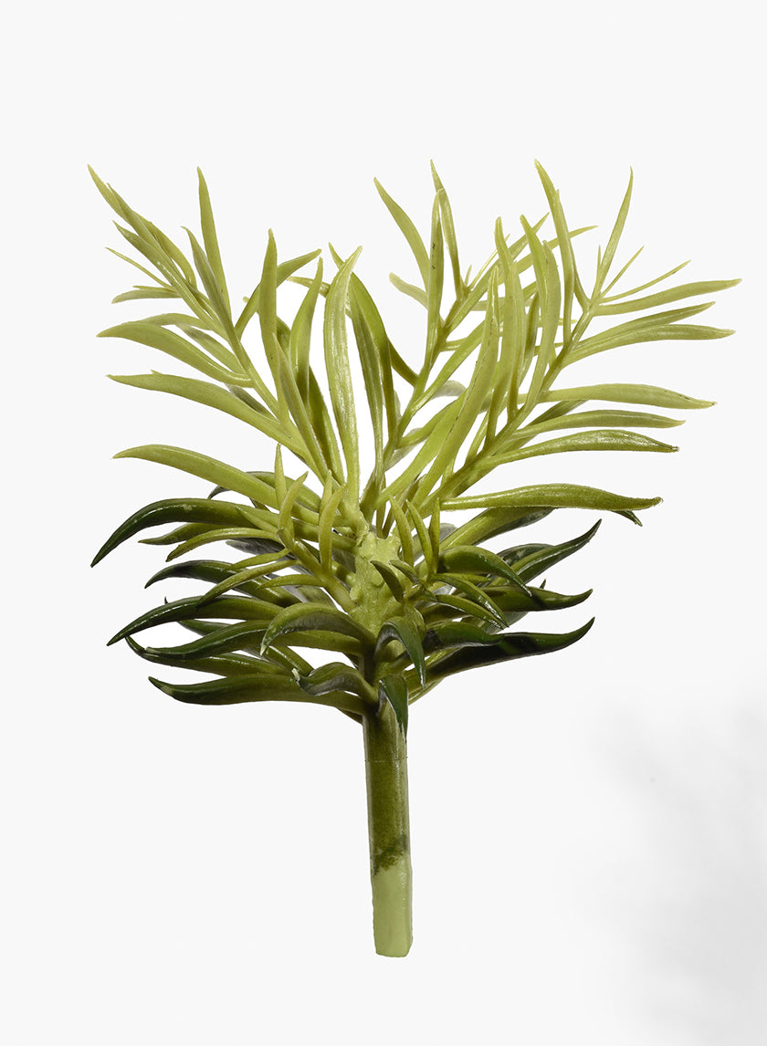 9in Long Single Succulent Decor Jamali-garden