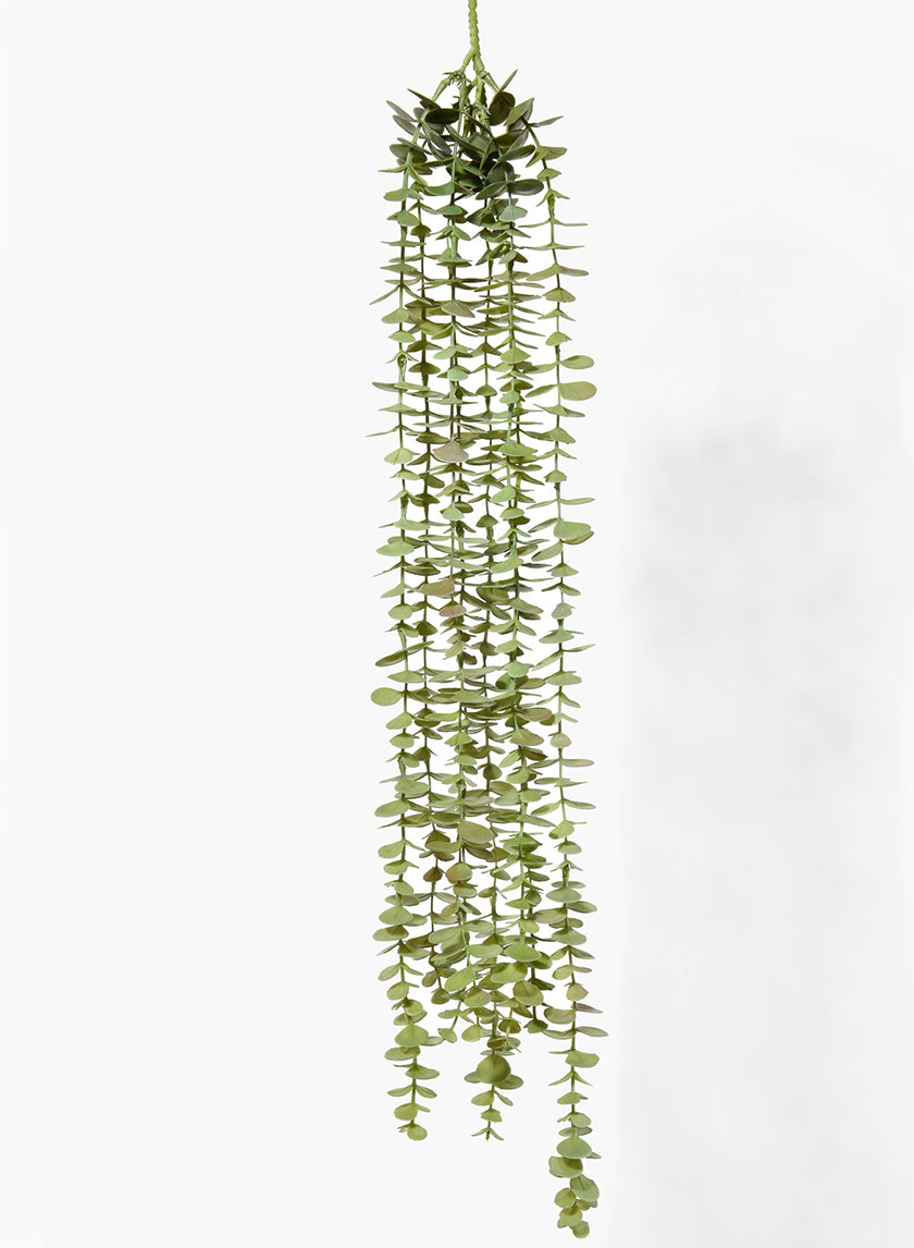 31in Long Eucalyptus Hanging Decor Jamali-garden