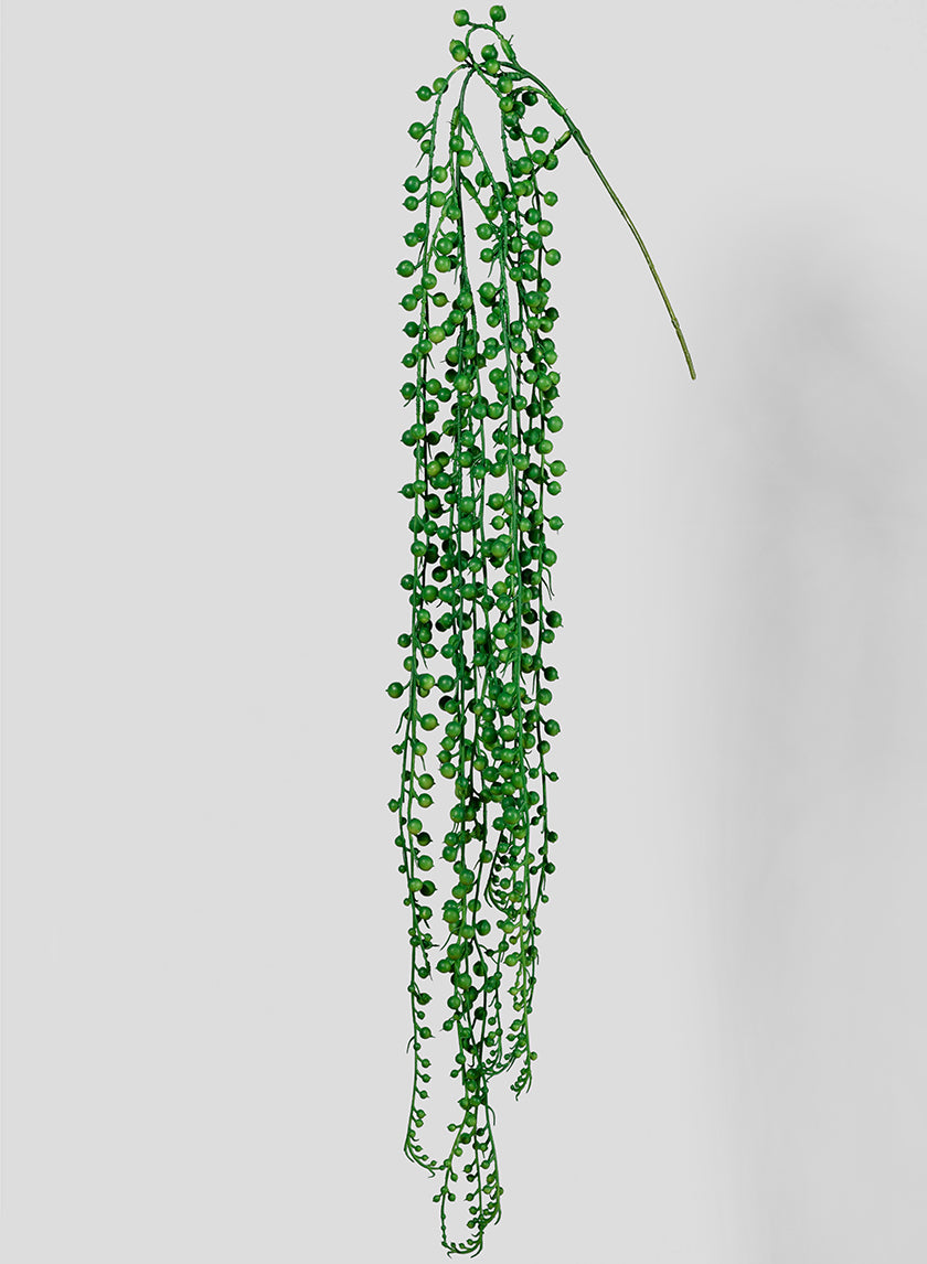 35in Long String Of Pearls Pick Senecio Decor Jamali-garden