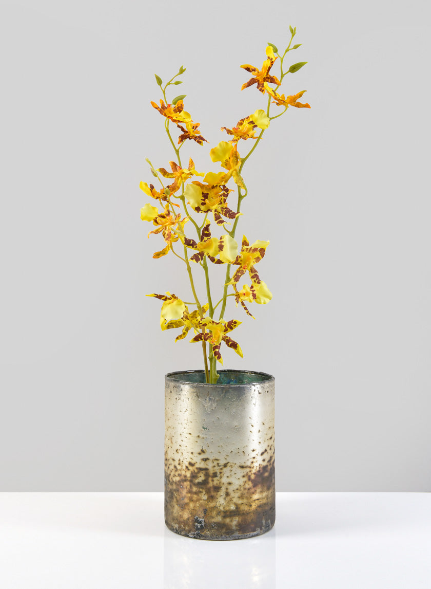 5.5in Tall Avignon Matte Silver Glass Cylinder Decor Jamali-garden
