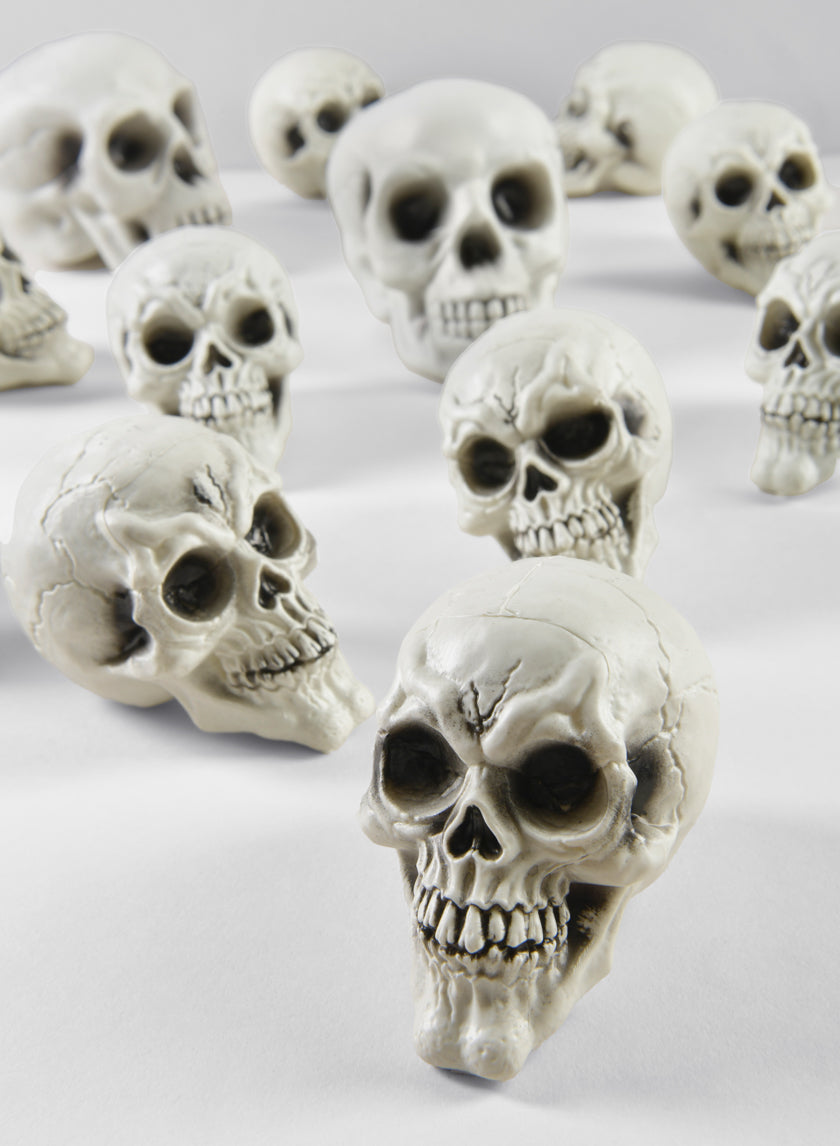 Bag of Mini Skulls Decor Jamali-garden