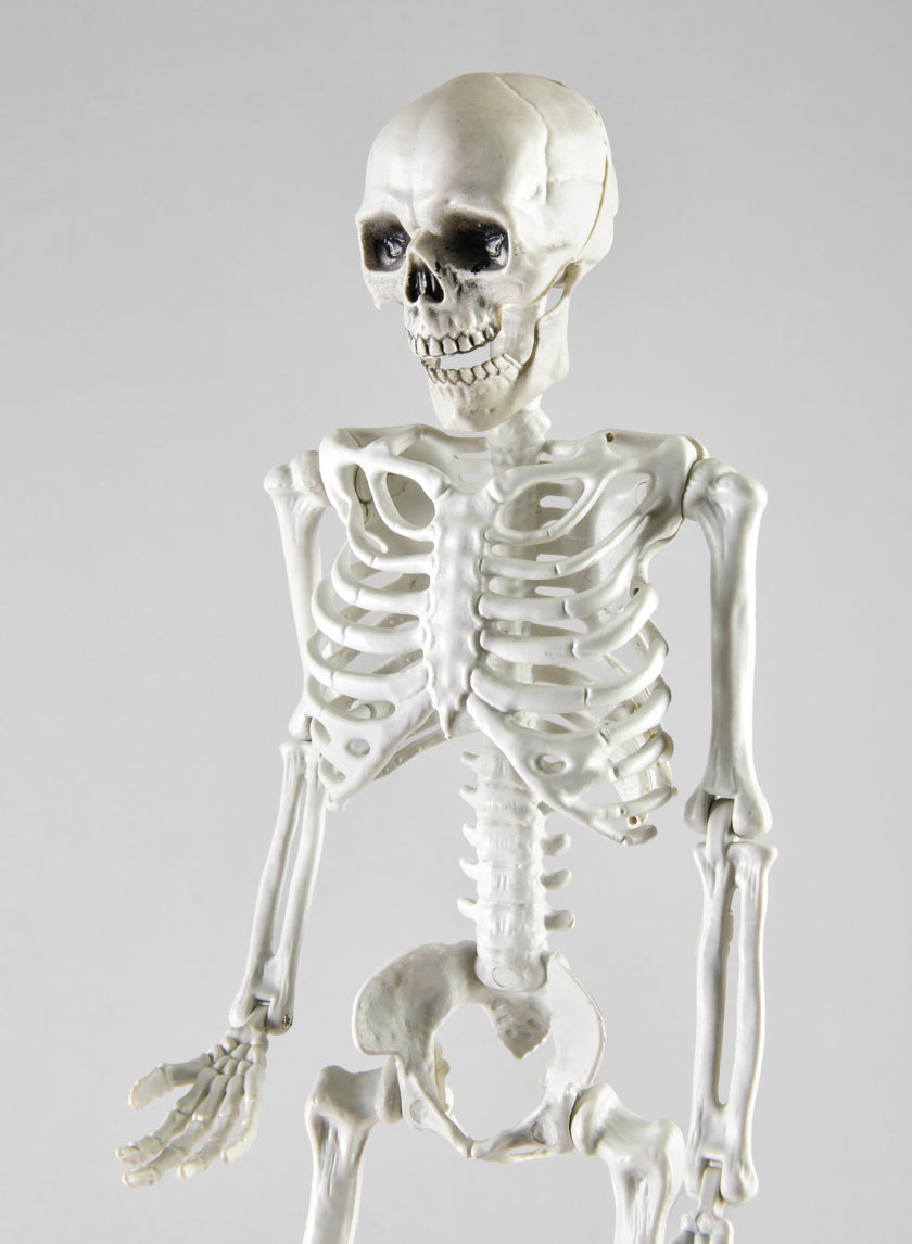 20in Uncle Alfred Adjustable Full Skull Decor Jamali-garden