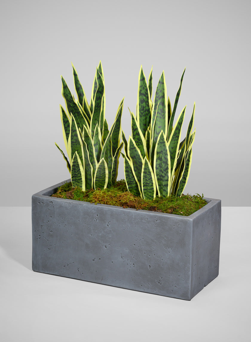Longine Patio All Weather Light Weight Speckle Grey Polyresin Rectangular Planters Decor Jamali-garden