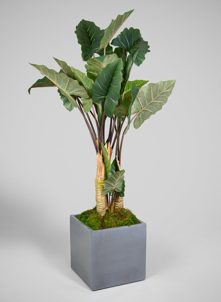 Venetian Grey All Weather Light Weight Polyresin Cube Planters Decor Jamali-garden