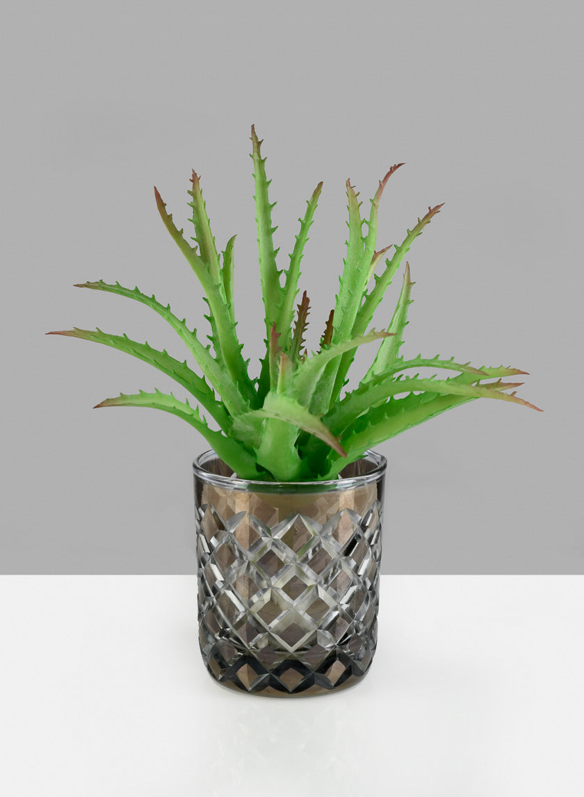 9in Long Aloe Pick Decor Jamali-garden