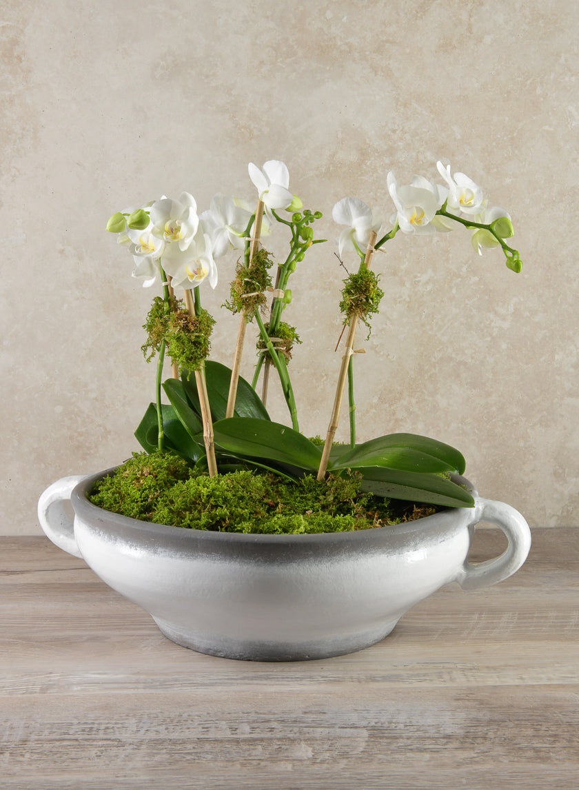 15in Wide Andra Ceramic White Glazed Bowl Decor Jamali-garden