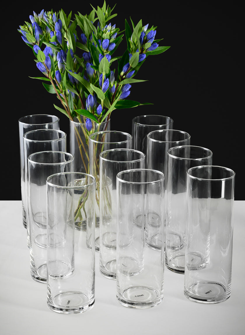 Best Value Glass Cylinder, Set of 12 Decor Jamali-garden