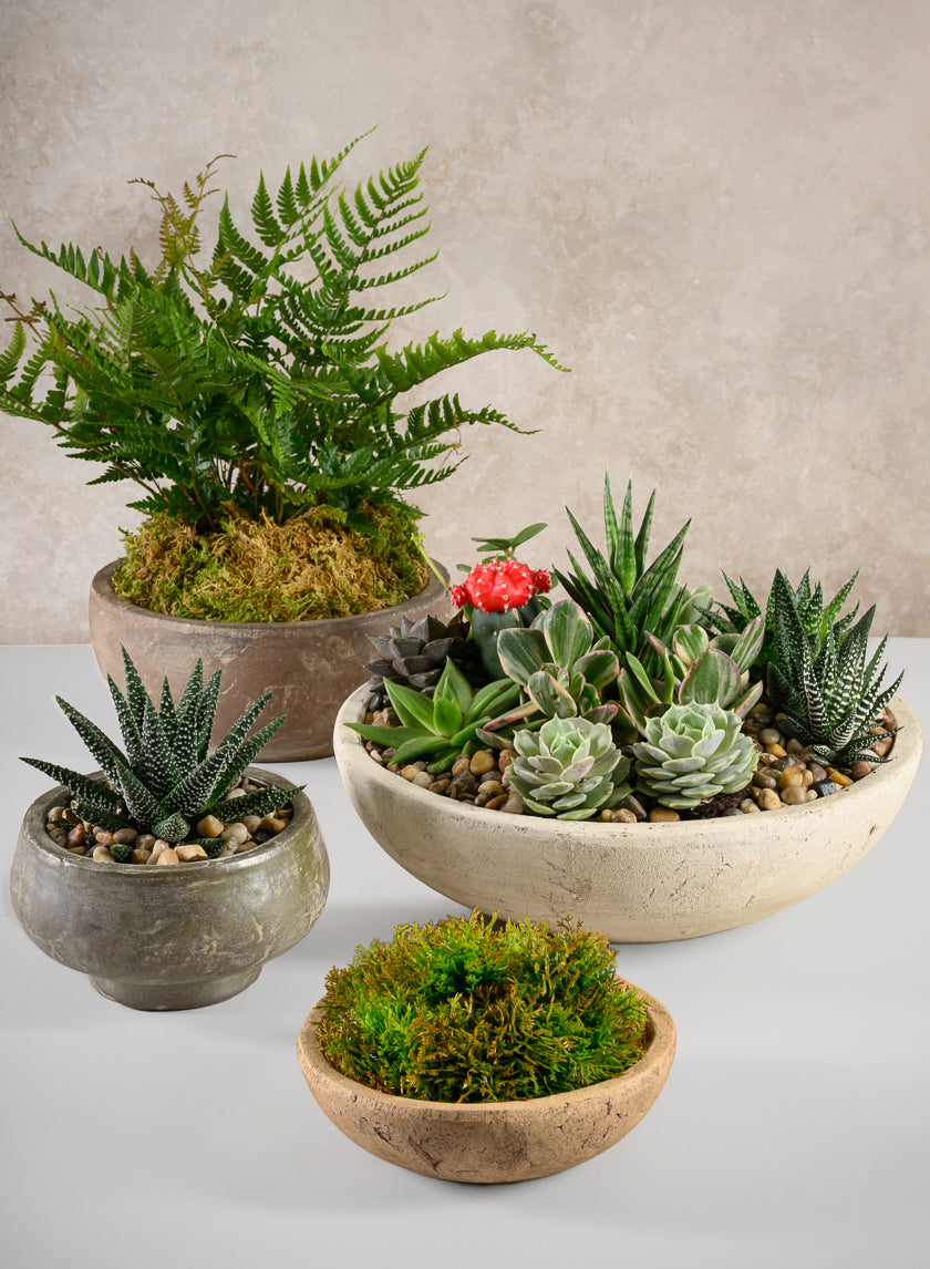 12in Wide Amadora Sand Tone Centerpiece Stonware Bowl Decor Jamali-garden