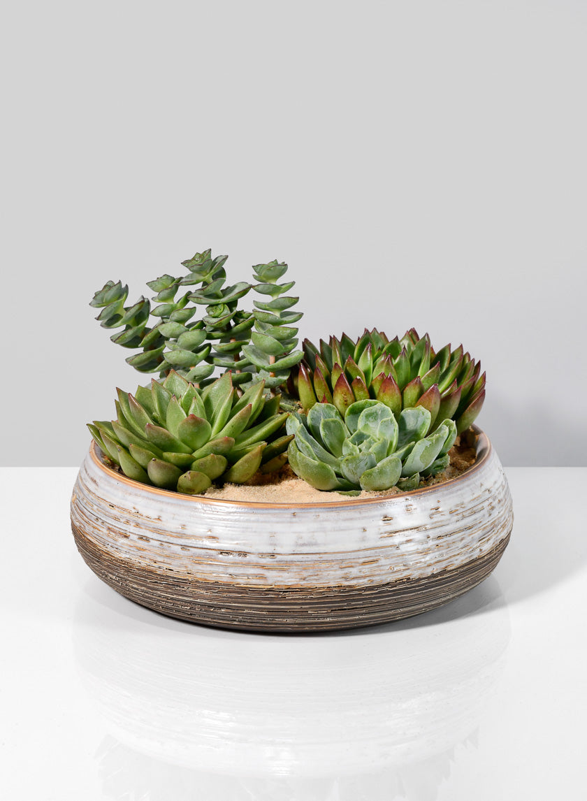 Breve Ceramic Planter Decor Jamali-garden