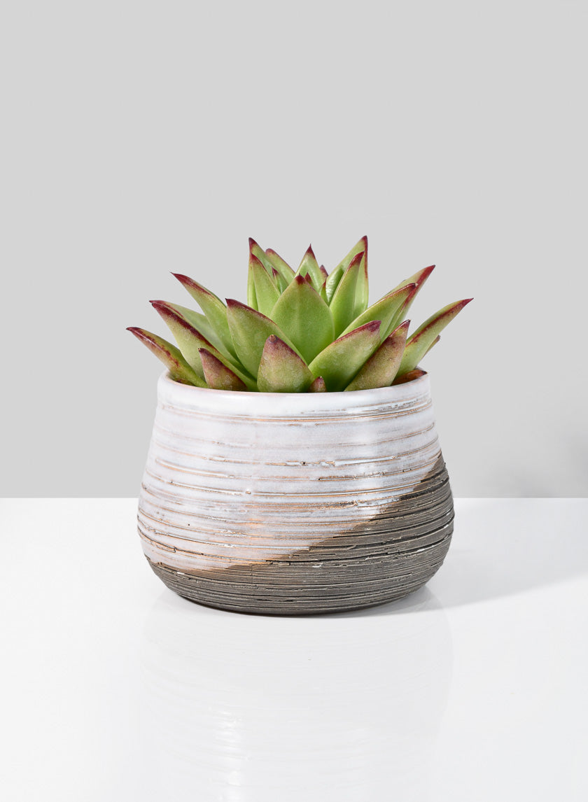 Breve Ceramic Planter Decor Jamali-garden