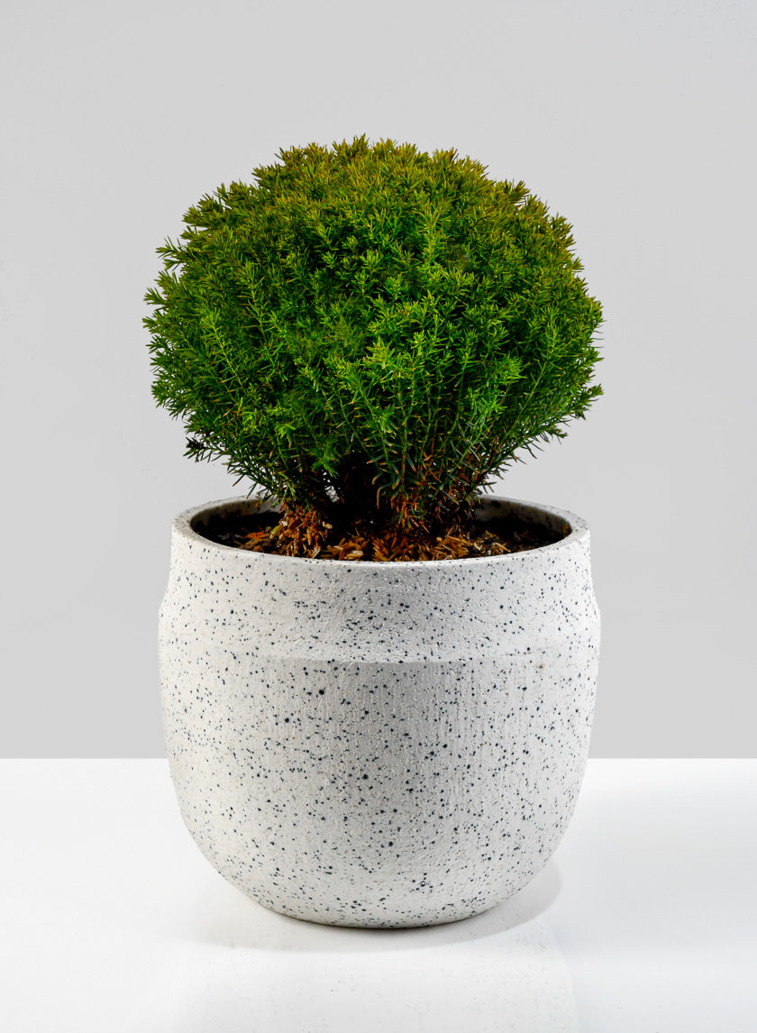 6.5in Wide White Granite Goki Bowl Decor Jamali-garden