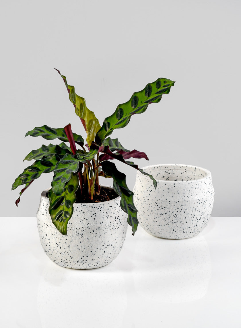 4in Wide White Granite Goki Bowl Decor Jamali-garden