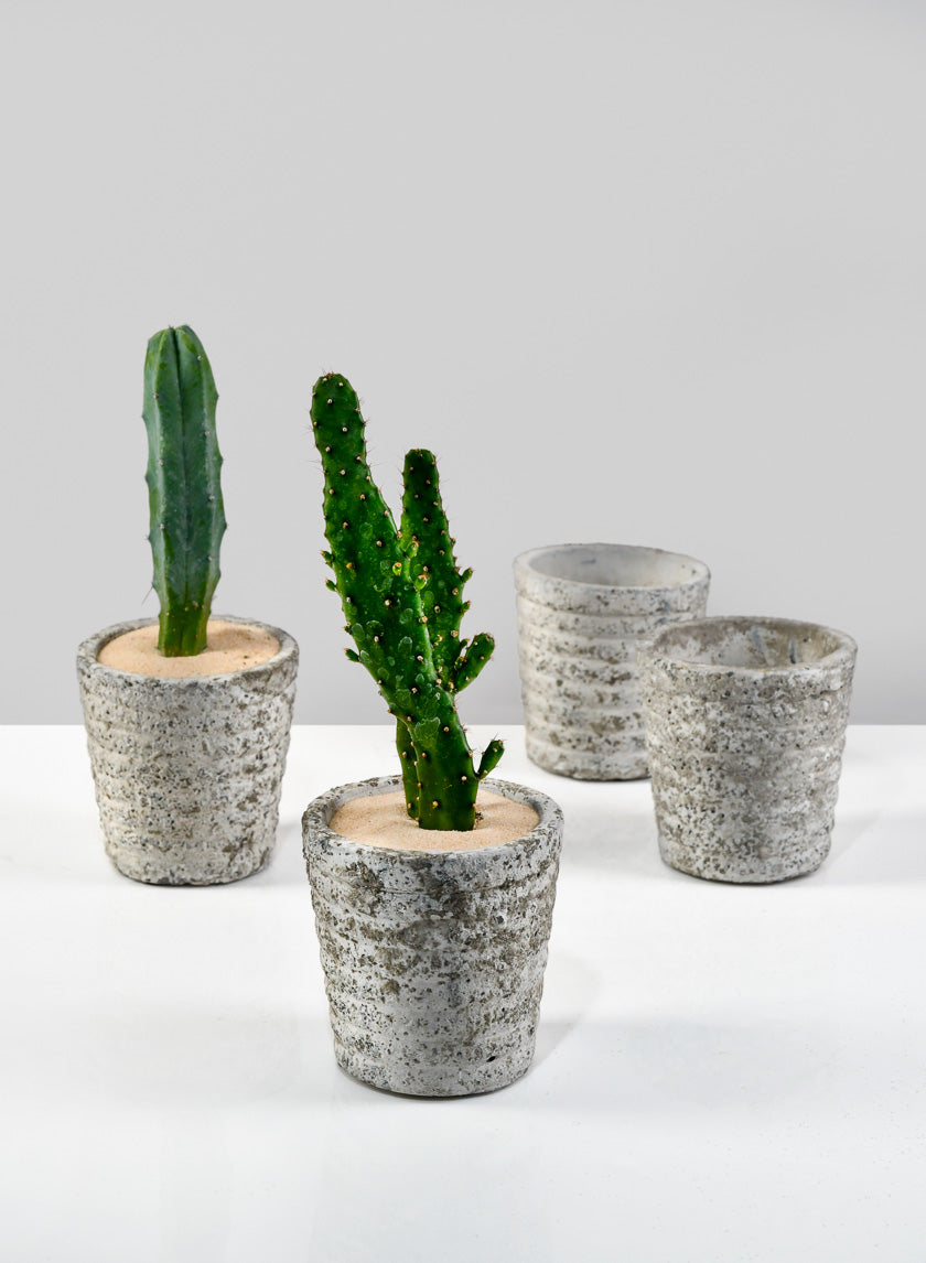 3in Tall Stone Wall Aged Planter Decor Jamali-garden